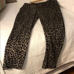 Cabi leopard skin pants